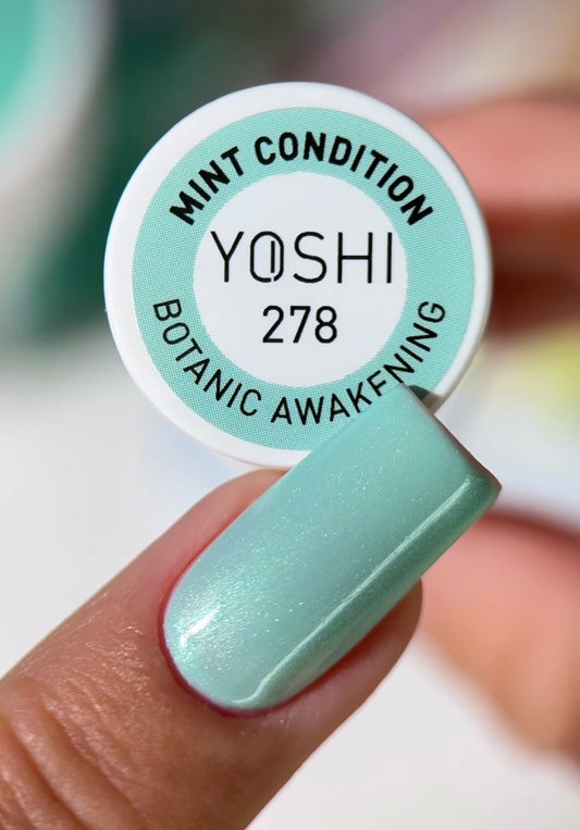 278 Mint Condition