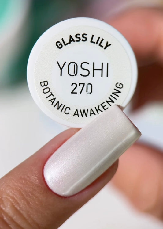 270 Glass Lily
