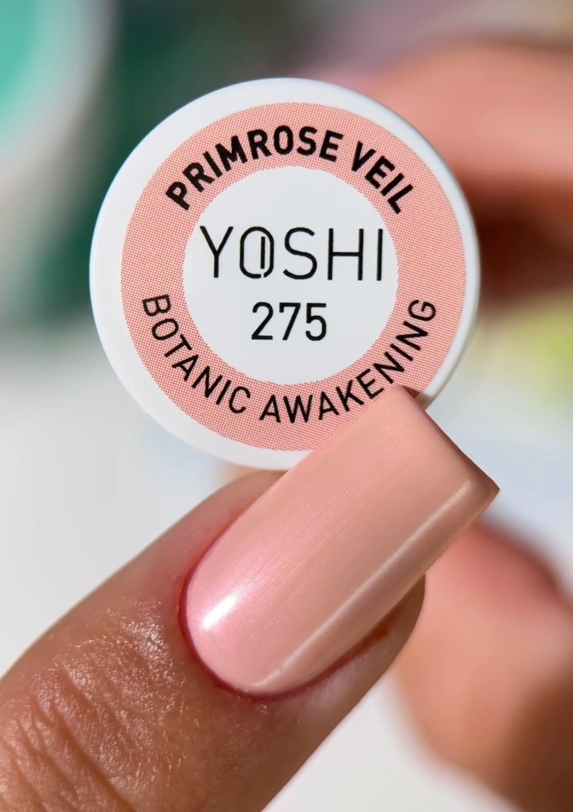 275 Primrose Veil
