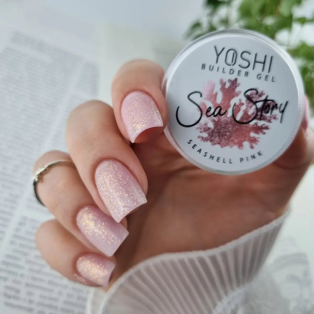 Sea Story Seashell Pink 15ml